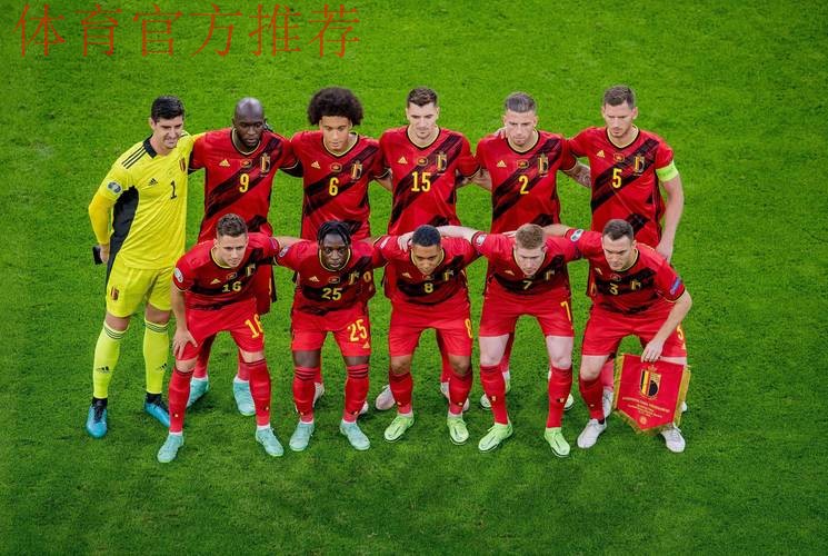 比利时队晋级戴维斯杯四强